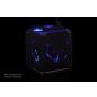 alphacool-eisbaer-aurora-solo-cpu-water-block-and-pump-digital-rgb-Alt3-image